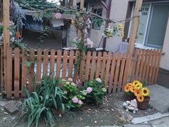 Cismigiu inchiriere garsoniera